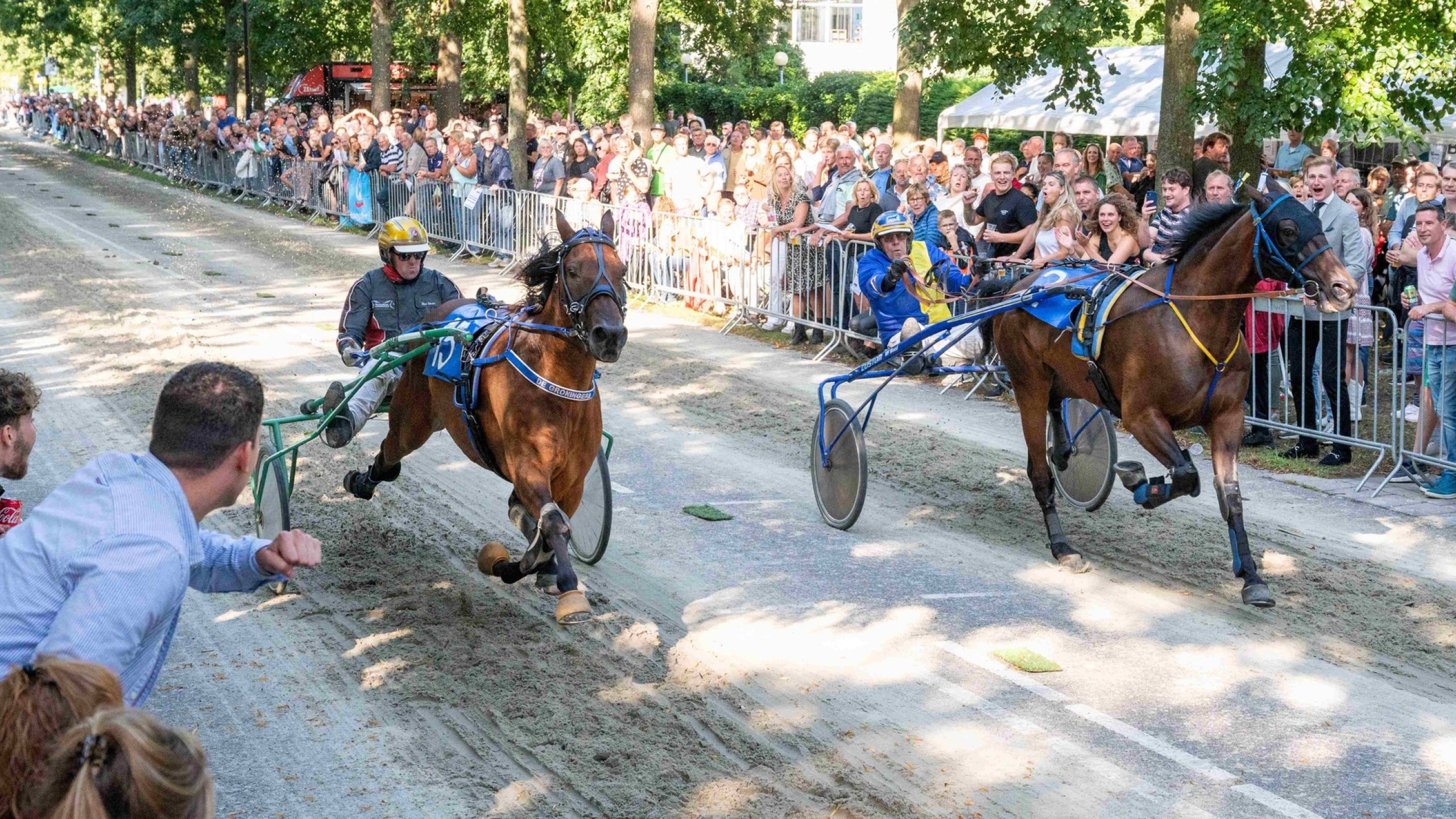 Paardenmarkt